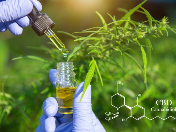 Comment intégrer l’huile de CBD dans votre cuisine&nbsp;?