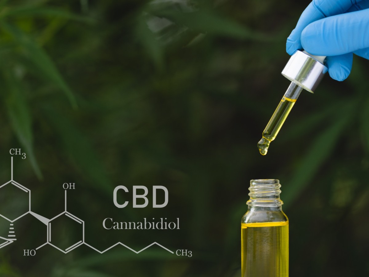 Quel est le meilleur plat à cuisiner avec de l’huile de CBD&nbsp;?